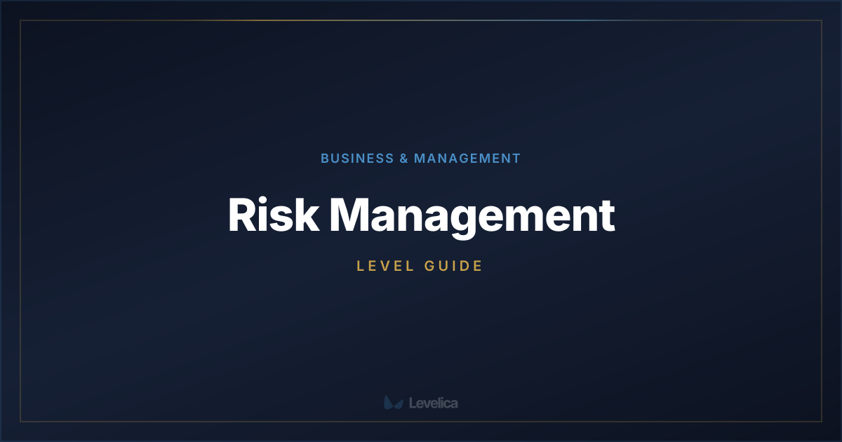 Risk Management Level Guide | Levelica | Levelica